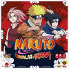 Naruto Ninja Arena